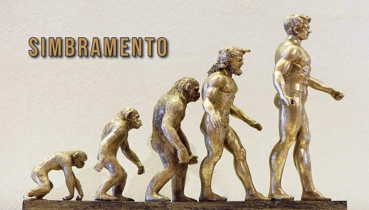 Simbramento